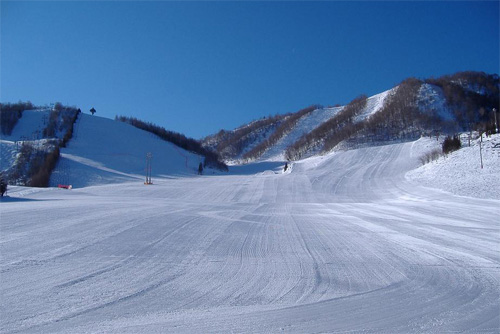 Hida Honoki Daira Ski Resort / Cosmos Gardens 